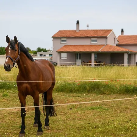 Ana Holiday home Fazana